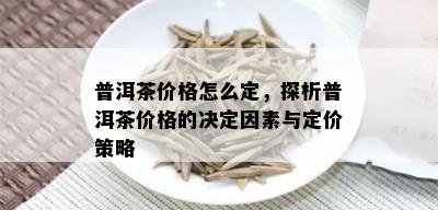 普洱茶价格怎么定，探析普洱茶价格的决定因素与定价策略