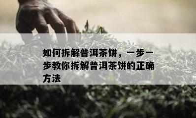 如何拆解普洱茶饼，一步一步教你拆解普洱茶饼的正确方法