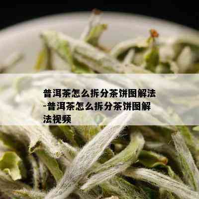 普洱茶怎么拆分茶饼图解法-普洱茶怎么拆分茶饼图解法视频