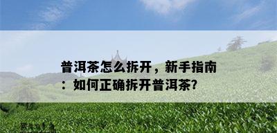 普洱茶怎么拆开，新手指南：如何正确拆开普洱茶？