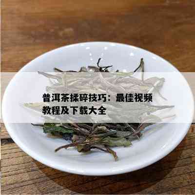 普洱茶揉碎技巧：更佳视频教程及下载大全