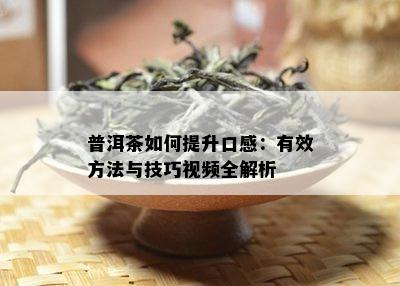 普洱茶如何提升口感：有效方法与技巧视频全解析