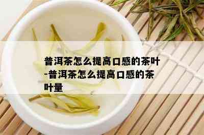 普洱茶怎么提高口感的茶叶-普洱茶怎么提高口感的茶叶量