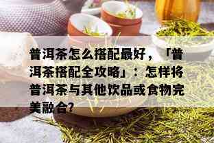 普洱茶怎么搭配更好，「普洱茶搭配全攻略」：怎样将普洱茶与其他饮品或食物完美融合？