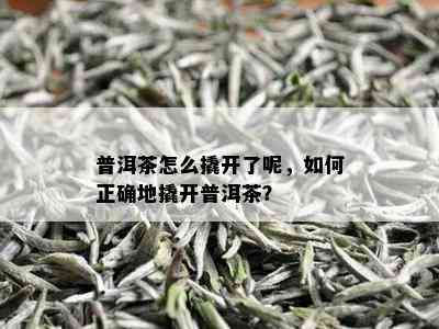 普洱茶怎么撬开了呢，如何正确地撬开普洱茶？