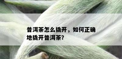 普洱茶怎么撬开，如何正确地撬开普洱茶？