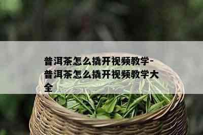 普洱茶怎么撬开视频教学-普洱茶怎么撬开视频教学大全