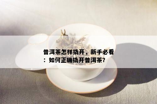 普洱茶怎样撬开，新手必看：如何正确撬开普洱茶？