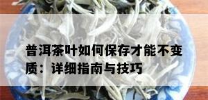 普洱茶叶如何保存才能不变质：详细指南与技巧