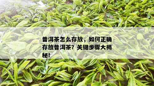 普洱茶怎么存放，如何正确存放普洱茶？关键步骤大揭秘！