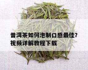 普洱茶如何泡制口感更佳？视频详解教程下载