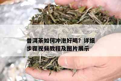 普洱茶如何冲泡好喝？详细步骤视频教程及图片展示