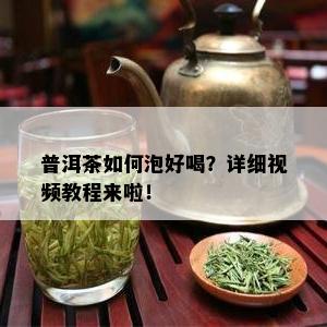 普洱茶如何泡好喝？详细视频教程来啦！