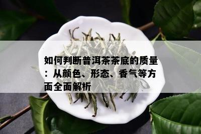 如何判断普洱茶茶底的质量：从颜色、形态、香气等方面全面解析