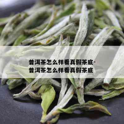 普洱茶怎么样看真假茶底-普洱茶怎么样看真假茶底