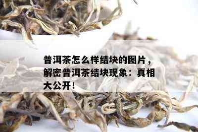 普洱茶怎么样结块的图片，解密普洱茶结块现象：真相大公开！