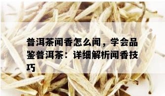 普洱茶闻香怎么闻，学会品鉴普洱茶：详细解析闻香技巧