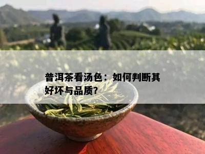 普洱茶看汤色：如何判断其好坏与品质？