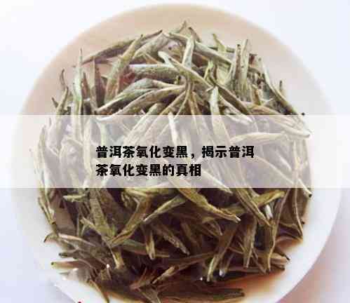 普洱茶氧化变黑，揭示普洱茶氧化变黑的真相