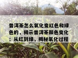 普洱茶怎么氧化变红色和绿色的，揭示普洱茶颜色变化：从红到绿，揭秘氧化过程