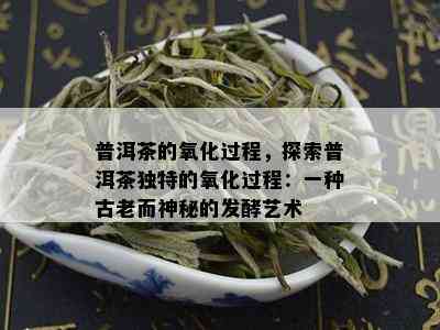 普洱茶的氧化过程，探索普洱茶独特的氧化过程：一种古老而神秘的发酵艺术