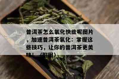 普洱茶怎么氧化快些呢图片，加速普洱茶氧化：掌握这些技巧，让你的普洱茶更美味！（附图）