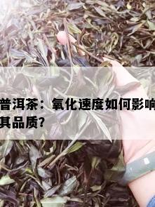 普洱茶：氧化速度如何影响其品质？