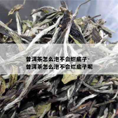 普洱茶怎么泡不会烂底子-普洱茶怎么泡不会烂底子呢