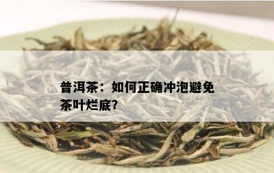 普洱茶：如何正确冲泡避免茶叶烂底？