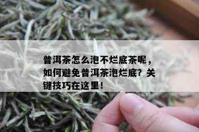 普洱茶怎么泡不烂底茶呢，如何避免普洱茶泡烂底？关键技巧在这里！