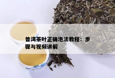 普洱茶叶正确泡法教程：步骤与视频讲解