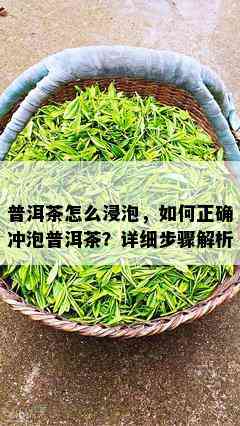 普洱茶怎么浸泡，如何正确冲泡普洱茶？详细步骤解析