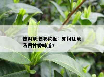 普洱茶泡法教程：如何让茶汤回甘香味道？