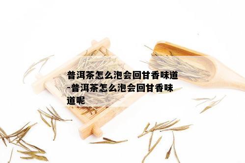 普洱茶怎么泡会回甘香味道-普洱茶怎么泡会回甘香味道呢