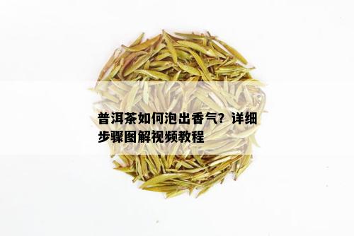 普洱茶如何泡出香气？详细步骤图解视频教程