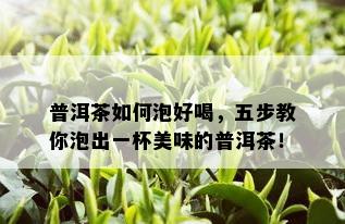 普洱茶如何泡好喝，五步教你泡出一杯美味的普洱茶！