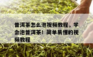 普洱茶怎么泡视频教程，学会泡普洱茶！简单易懂的视频教程