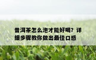 普洱茶怎么泡才能好喝？详细步骤教你做出更佳口感