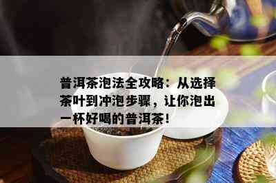 普洱茶泡法全攻略：从选择茶叶到冲泡步骤，让你泡出一杯好喝的普洱茶！