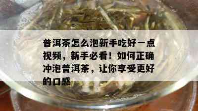 普洱茶怎么泡新手吃好一点视频，新手必看！如何正确冲泡普洱茶，让你享受更好的口感