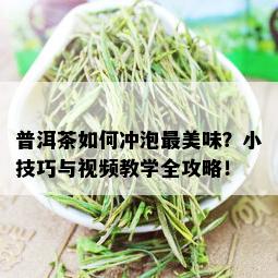 普洱茶如何冲泡最美味？小技巧与视频教学全攻略！