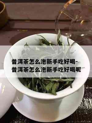 普洱茶怎么泡新手吃好喝-普洱茶怎么泡新手吃好喝呢