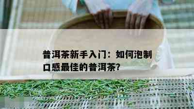 普洱茶新手入门：如何泡制口感更佳的普洱茶？