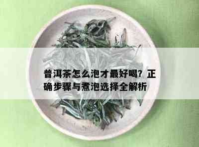 普洱茶怎么泡才更好喝？正确步骤与煮泡选择全解析