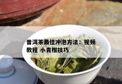 普洱茶更佳冲泡方法：视频教程 小青柑技巧