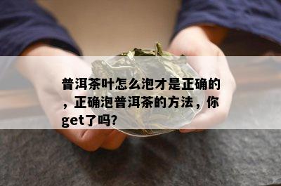 普洱茶叶怎么泡才是正确的，正确泡普洱茶的方法，你get了吗？