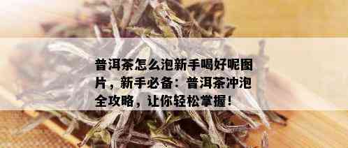 普洱茶怎么泡新手喝好呢图片，新手必备：普洱茶冲泡全攻略，让你轻松掌握！