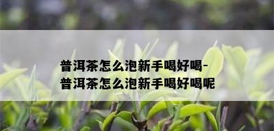 普洱茶怎么泡新手喝好喝-普洱茶怎么泡新手喝好喝呢