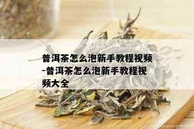 普洱茶怎么泡新手教程视频-普洱茶怎么泡新手教程视频大全