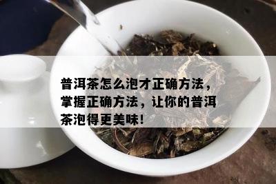 普洱茶怎么泡才正确方法，掌握正确方法，让你的普洱茶泡得更美味！